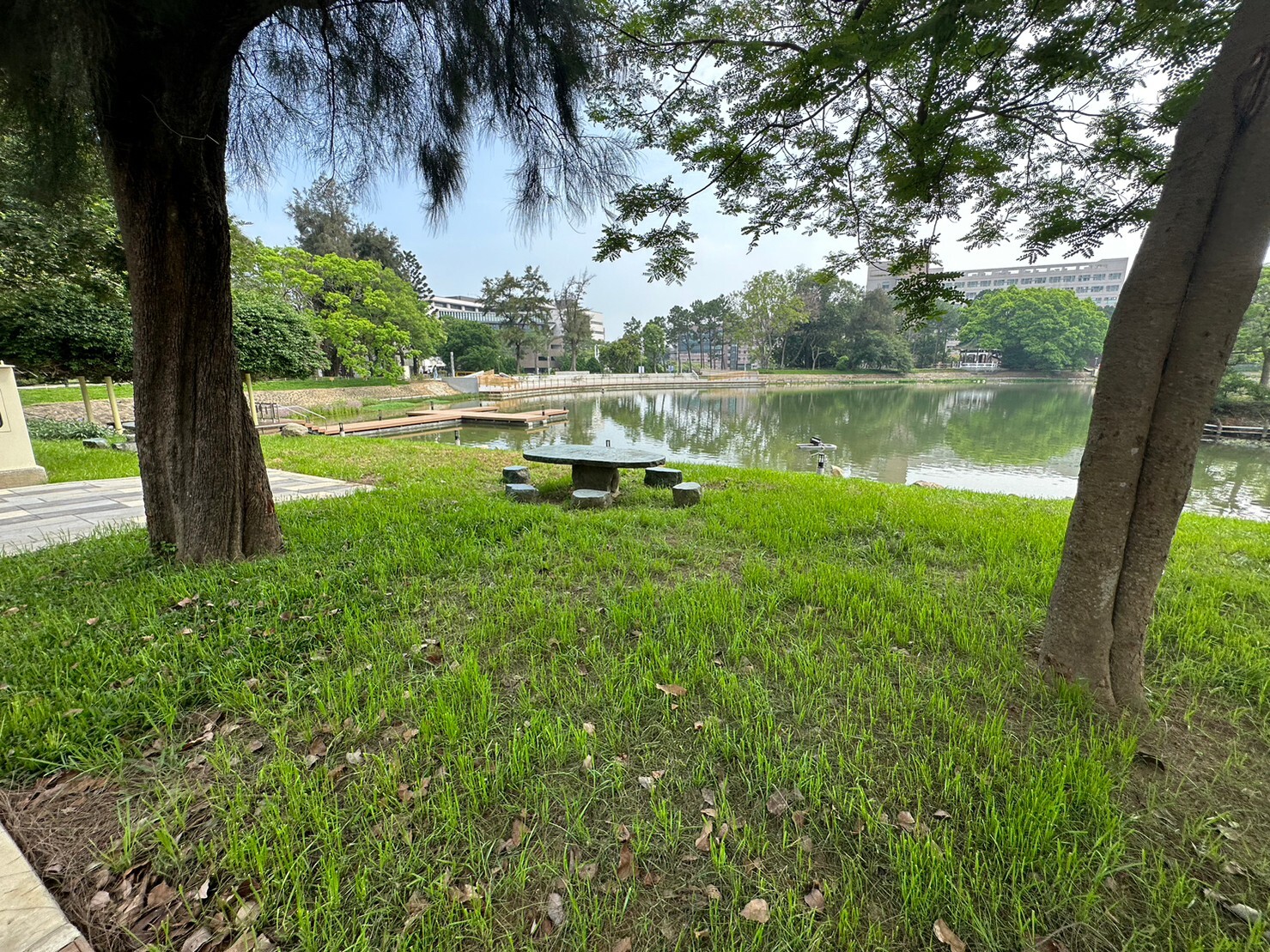 湖畔野餐